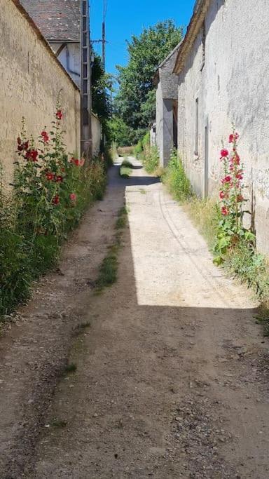 Belle Suite Dans Corps De Ferme - Logement Alicia Villiers-sous-Grez Exterior foto